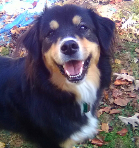 Rocky - October 2016